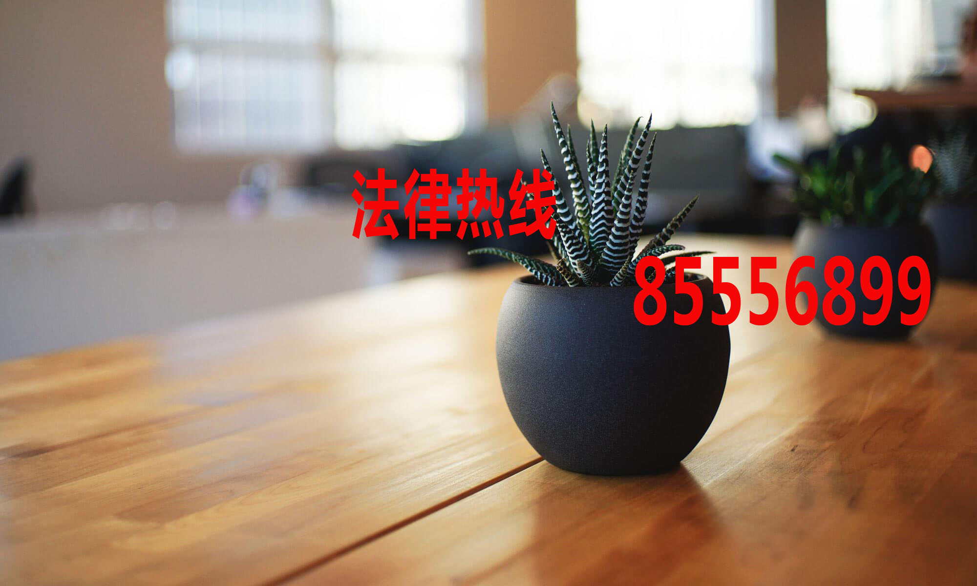 永嘉县律师15356291688_温州市永嘉律师